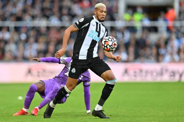 加西亚的影 加西亚的影